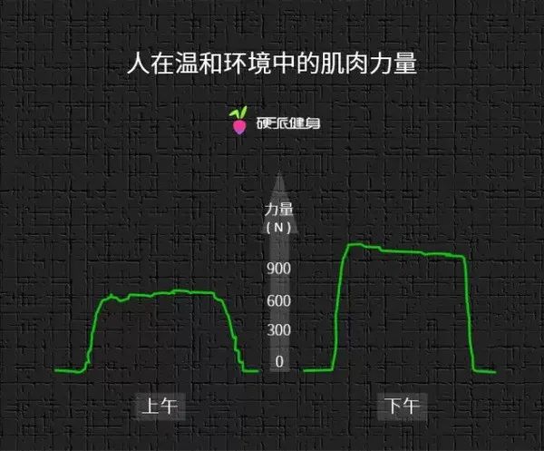 健身的最佳時間是什么時候?